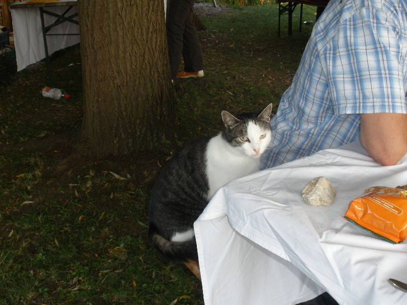image59