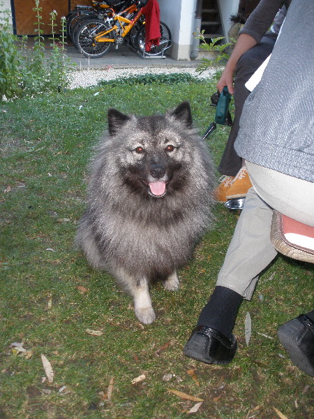 image76